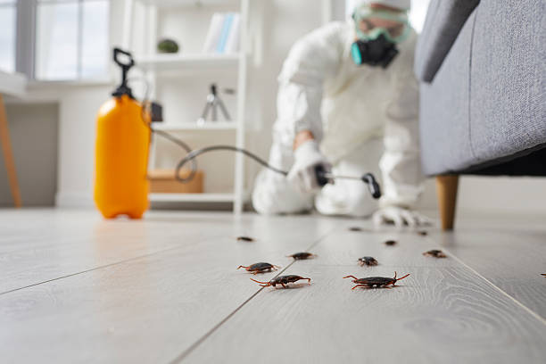 Trusted Termite Control service in Lineville, AL - Nex Pest Control