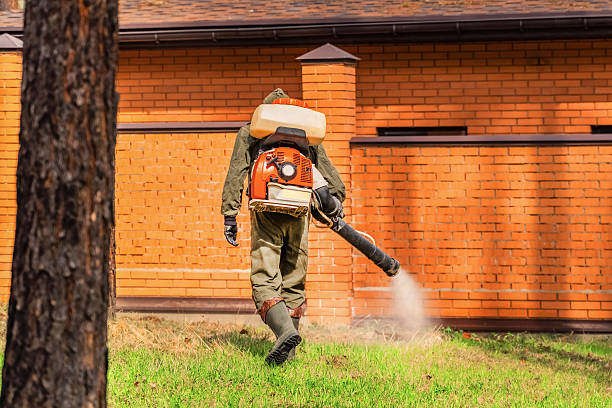 Trusted Mosquito Control service in Lineville, AL - Nex Pest Control